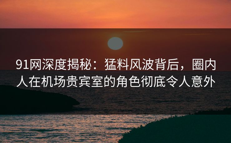 91网深度揭秘：猛料风波背后，圈内人在机场贵宾室的角色彻底令人意外