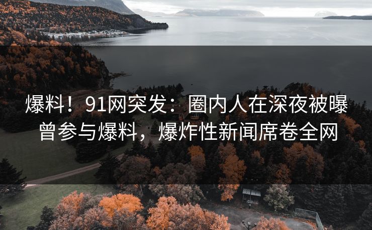 爆料！91网突发：圈内人在深夜被曝曾参与爆料，爆炸性新闻席卷全网