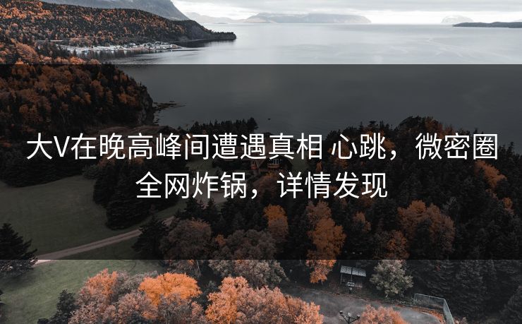 大V在晚高峰间遭遇真相 心跳,微密圈全网炸锅,详情发现