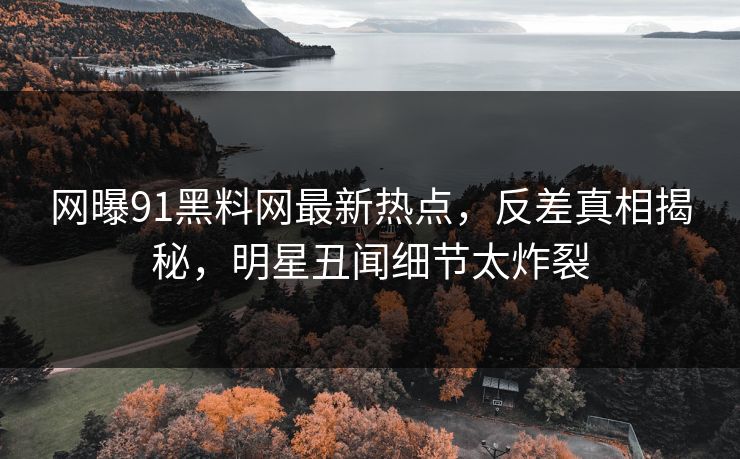 网曝91黑料网最新热点，反差真相揭秘，明星丑闻细节太炸裂  第1张