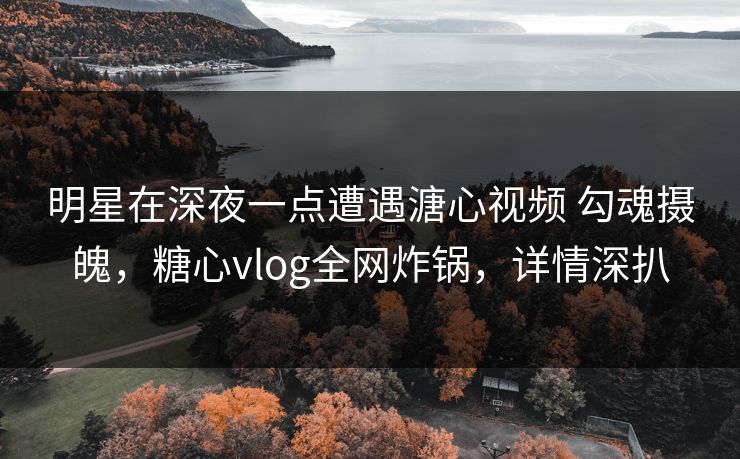 明星在深夜一点遭遇溏心视频 勾魂摄魄，糖心vlog全网炸锅，详情深扒